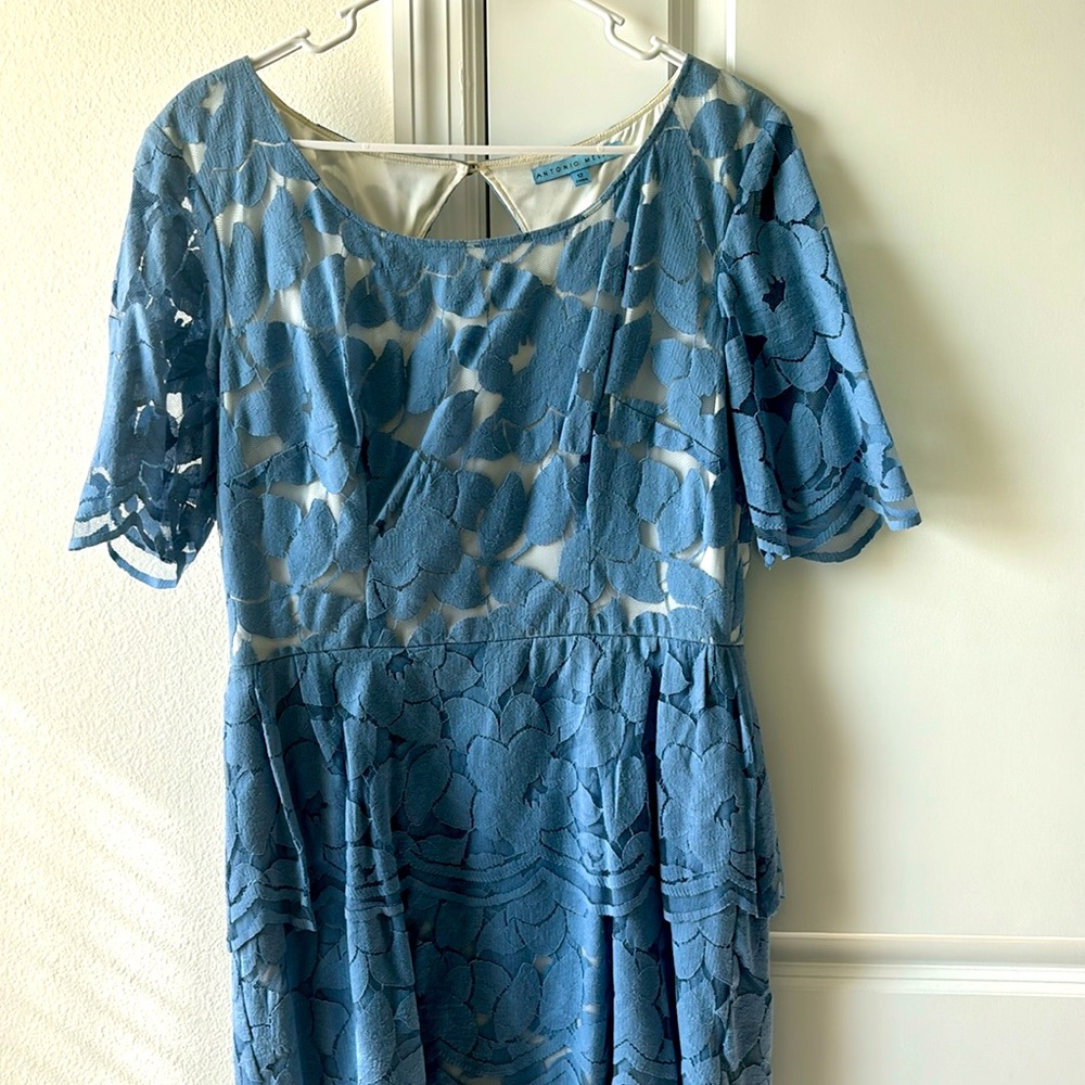 Antonio Melani Dress